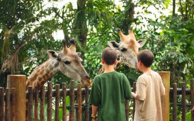 Wir besuchten den Zoo & Tierpark